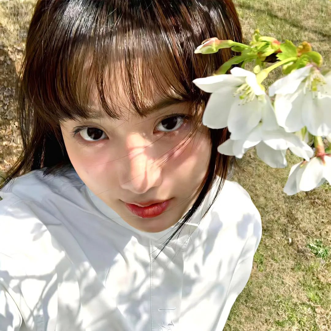 叶问:终极一战粤语